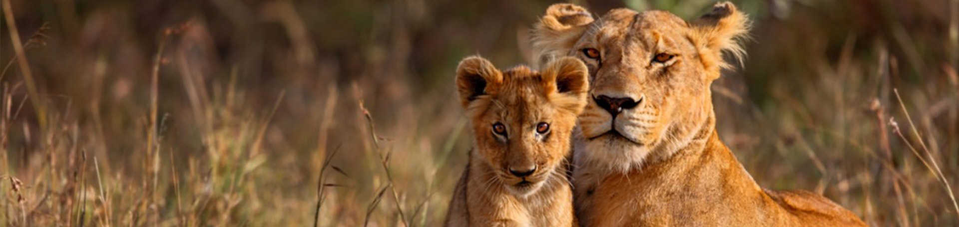 B2-Kenya-9days-Desktop-1920×455