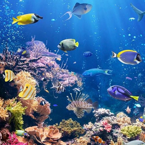 Underwater-Ocean-Wallpaper-2-01